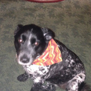 Meet your Posher, Candace